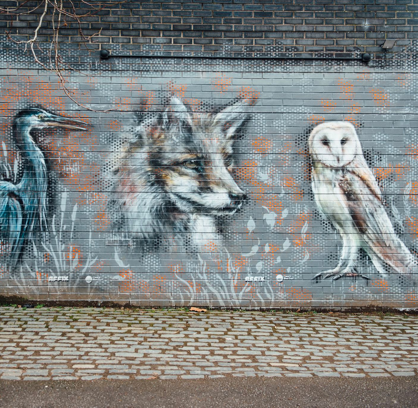 Wildlife